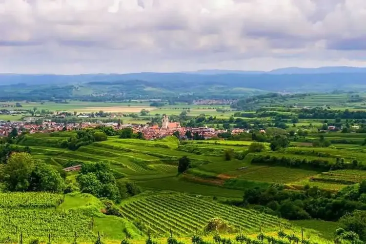 Kaiserstuhl